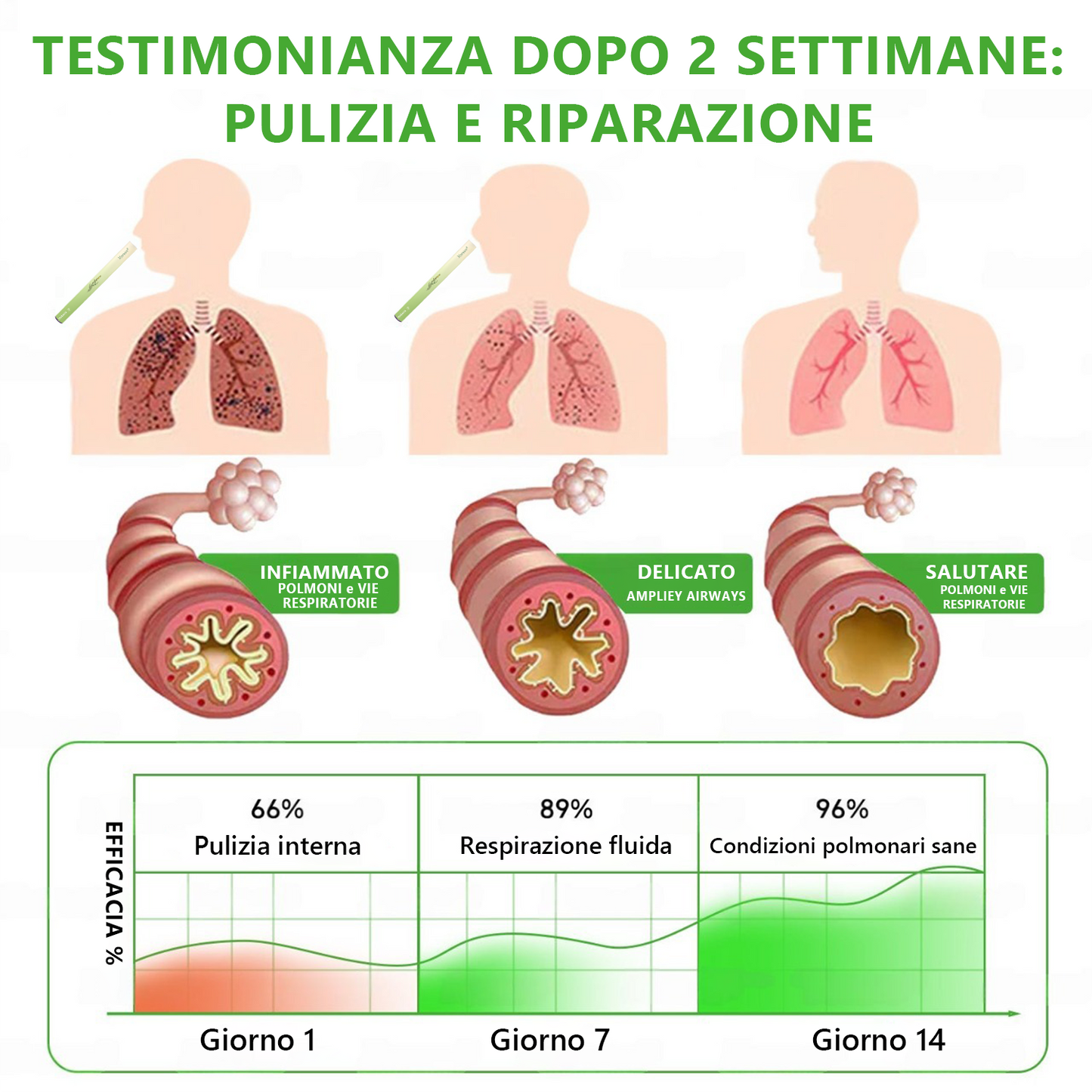 Negozio ufficiale🌐𝑀𝑢𝑟𝑤𝗈𝗇® 𝑫𝒊𝒇𝒇𝒖𝒔𝒐𝒓𝒆 𝒃𝒐𝒕𝒂𝒏𝒊𝒄𝒐 𝒅𝒊 𝒗𝒆𝒓𝒃𝒂𝒔𝒄𝒐 𝒑𝒆𝒓 𝒍𝒂 𝒑𝒖𝒍𝒊𝒛𝒊𝒂 𝒅𝒆𝒊 𝒑𝒐𝒍𝒎𝒐𝒏𝒊(🫁Indicato per tosse, faringite, respiro affannoso, eccesso di muco, congestione nasale, bronchite, sintomi allergici e fastidi polmonari)